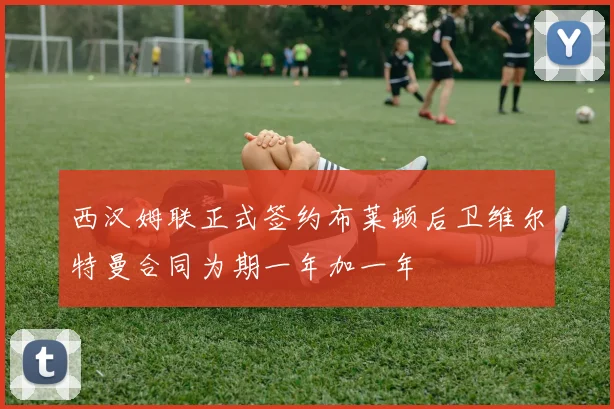 西汉姆联正式签约布莱顿后卫维尔特曼合同为期一年加一年