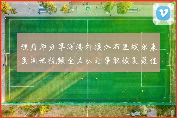 理疗师分享海港外援加布里埃尔康复训练视频全力以赴争取恢复最佳状态